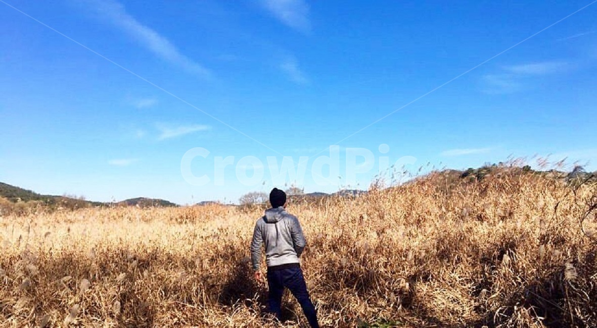 경치,풍경,자연,우포늪,갈대밭,갈대숲,갈대,가을,가을하늘,남자,사람,한국