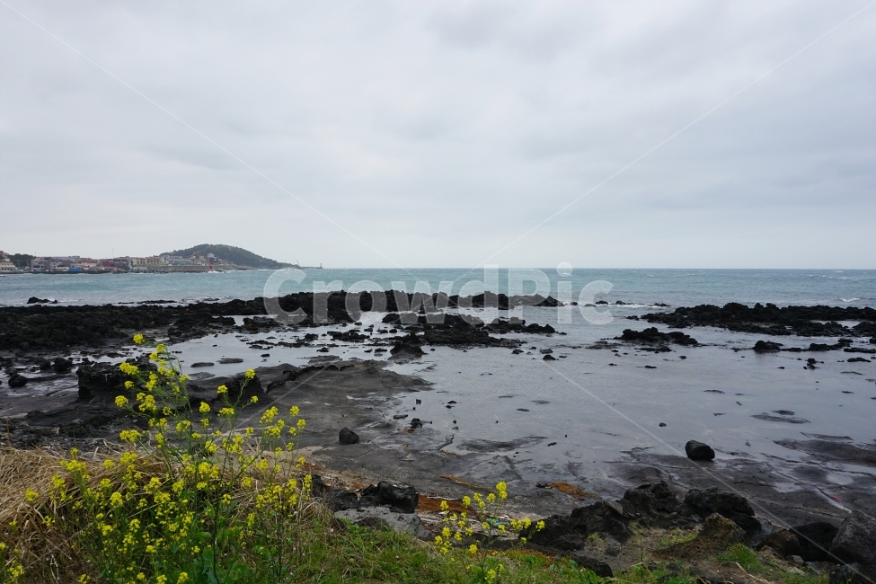 이호테우,제주도,해변,바다,제주도바다,jeju,trip,journey,vacation,자연,풍경,nature,landscape,한국자연풍경,한국자연경관,korea nature landscape,제주도,jeju,jeju island,outdoors,옥외,land,땅,promontory,곶,water,물,sea,ocean,대양,shoreline,해안선