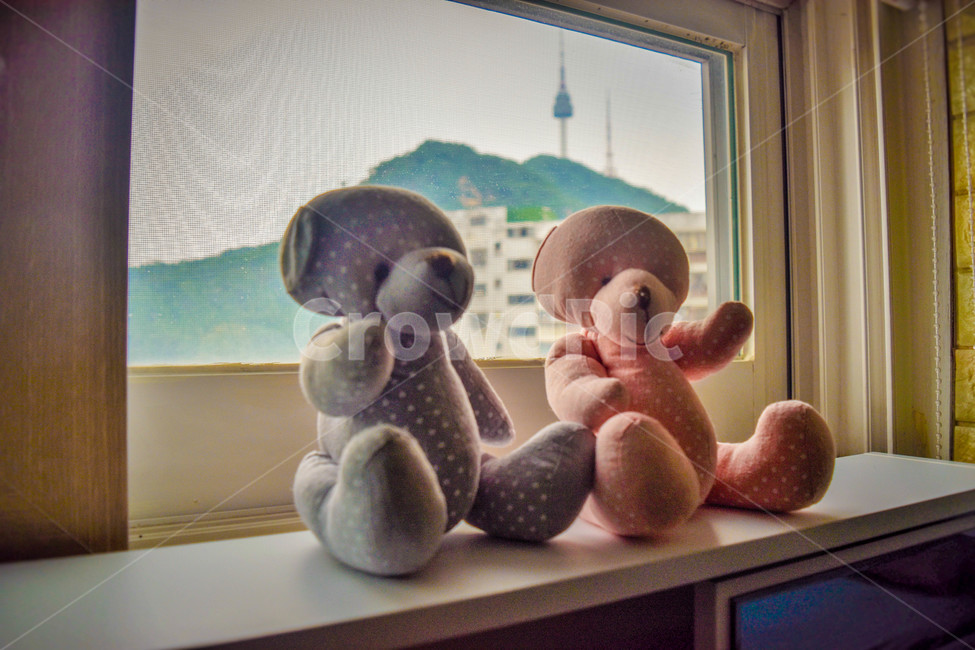 곰인형,인형,곰,커플,창문,남산타워
