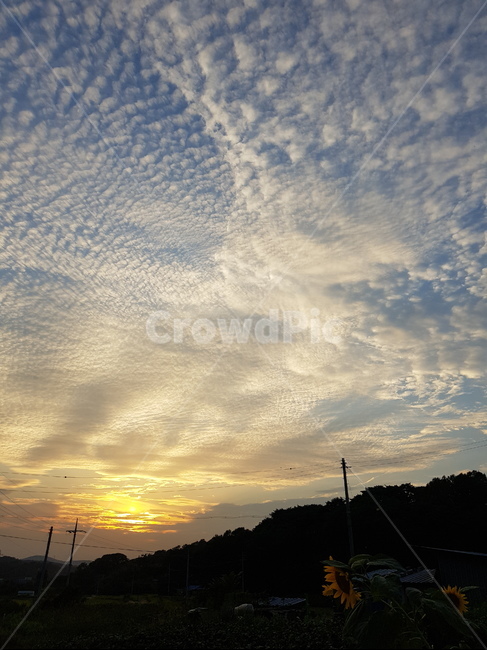하늘,자연,노을,구름,양떼구름,cloud,sky,자연,풍경,nature,landscape,outdoors,옥외,sunlight,햇빛