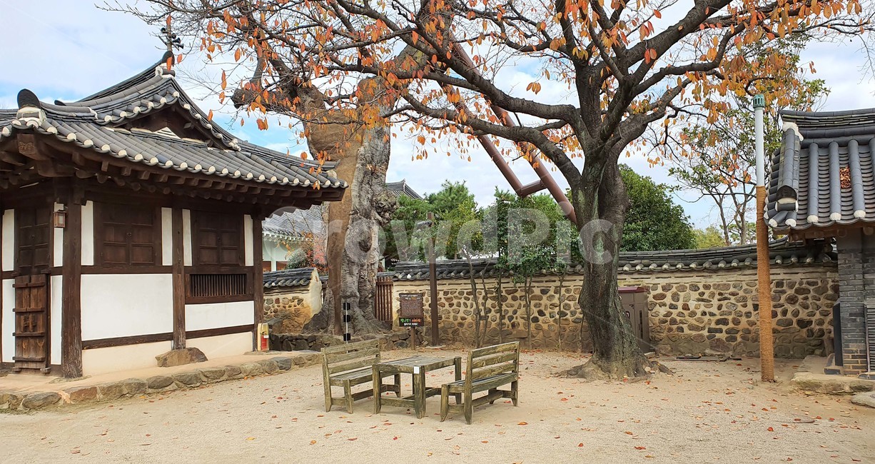 나무,의자,가을,낙엽,마당,전통,탁자,정원,목사내아,나주,Koreafallfoliage,단풍,열매