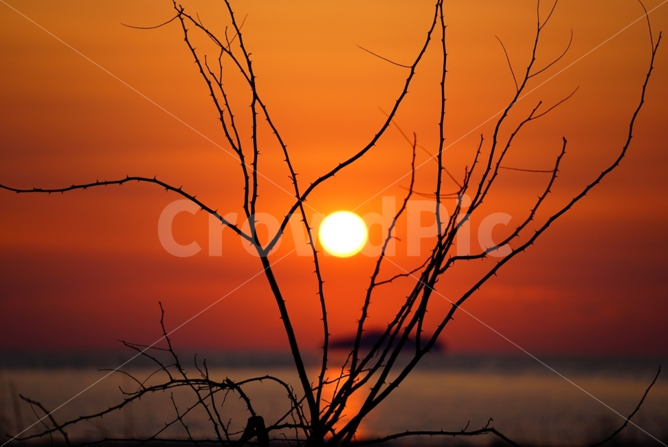 일몰,senset,외로움,쓸쓸함,붉은하늘,sky,감성,sensitive,loneliness,lonely,서해바다일몰,서해,westsea,자연,풍경,nature,landscape,실루엣,그림자,silhouette,shadow,outdoors,옥외,하늘,sunset,dawn,새벽,red sky,붉은 하늘,dusk,황혼,sunlight,햇빛