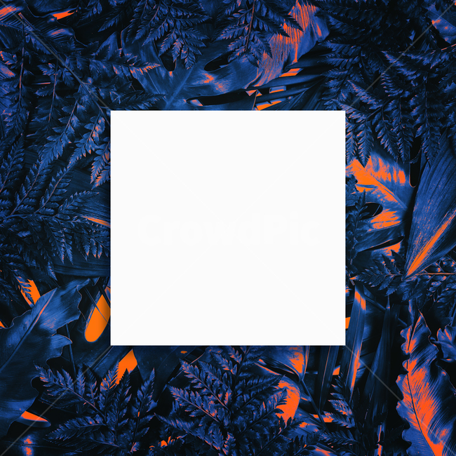 prepare,natural,neon,Botanical Frame,Botanical,leaf,summer,tropical,background image,palm tree,Neon,reversal,background,plant,tropical plants,jungle,colorful,frame
