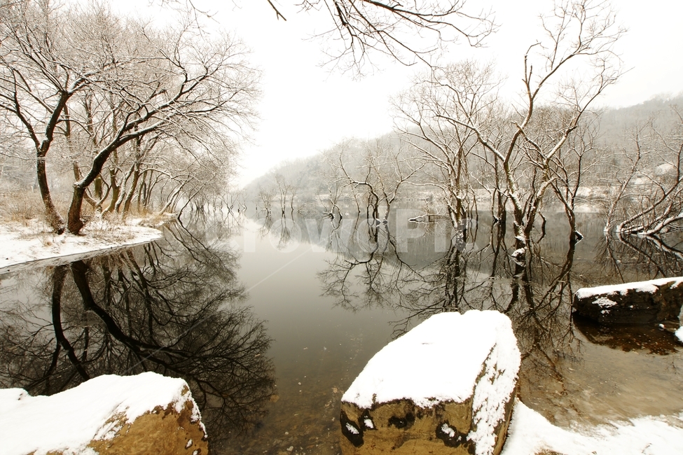 로하스,금강,대전관광,설경,풍경,겨울,계절,winter,season,자연,풍경,nature,landscape,한국자연풍경,한국자연경관,korea nature landscape,outdoors,옥외