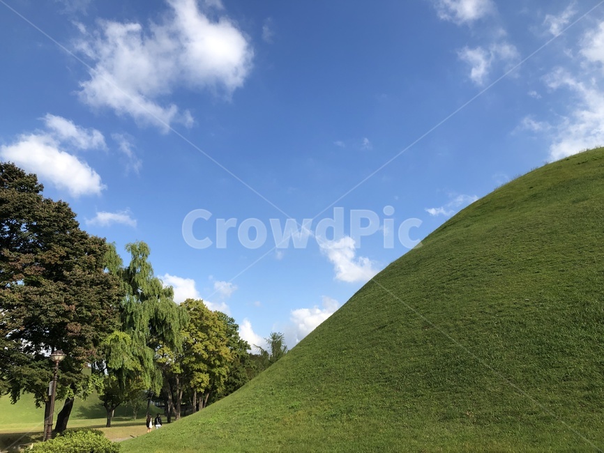 경주,대릉원,맑음,푸릇,하늘,숲,나무,자연,풍경,nature,landscape,한국자연풍경,한국자연경관,korea nature landscape,outdoors,옥외,grassland,목초지,field,들,mound,투수판