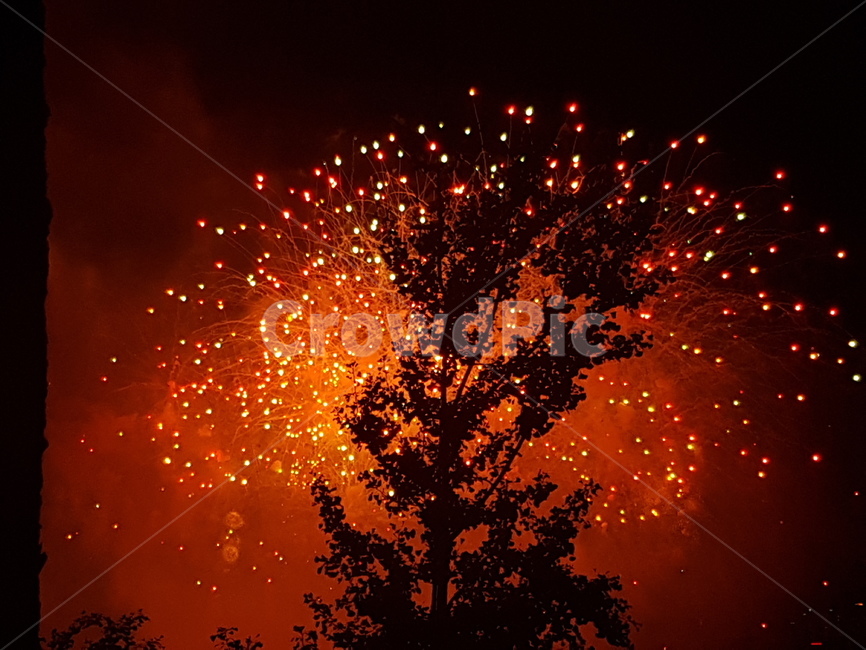 불꽃,여름,야경,축제,데이트,야경,밤,풍경,nightscape,night,landscape,nature,자연,outdoors,옥외