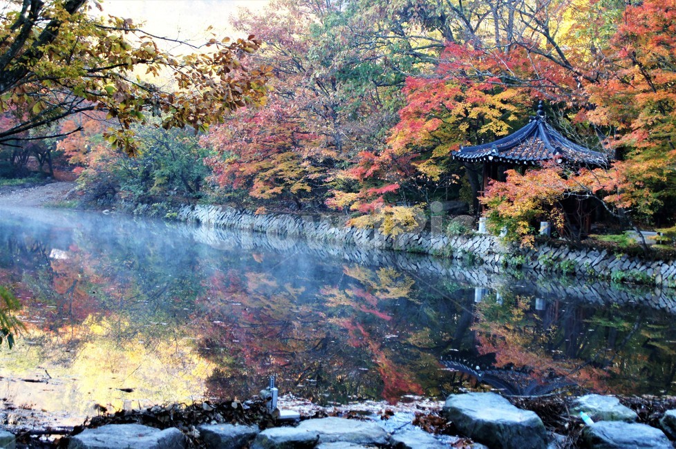 가을,단풍,자연,나무,식물,저수지,그림자,정자,산속,autumn,season,trees,nature,풍경,자연풍경,감성,emotion,안개,가을,계절,fall,autumn,season,tree,plant