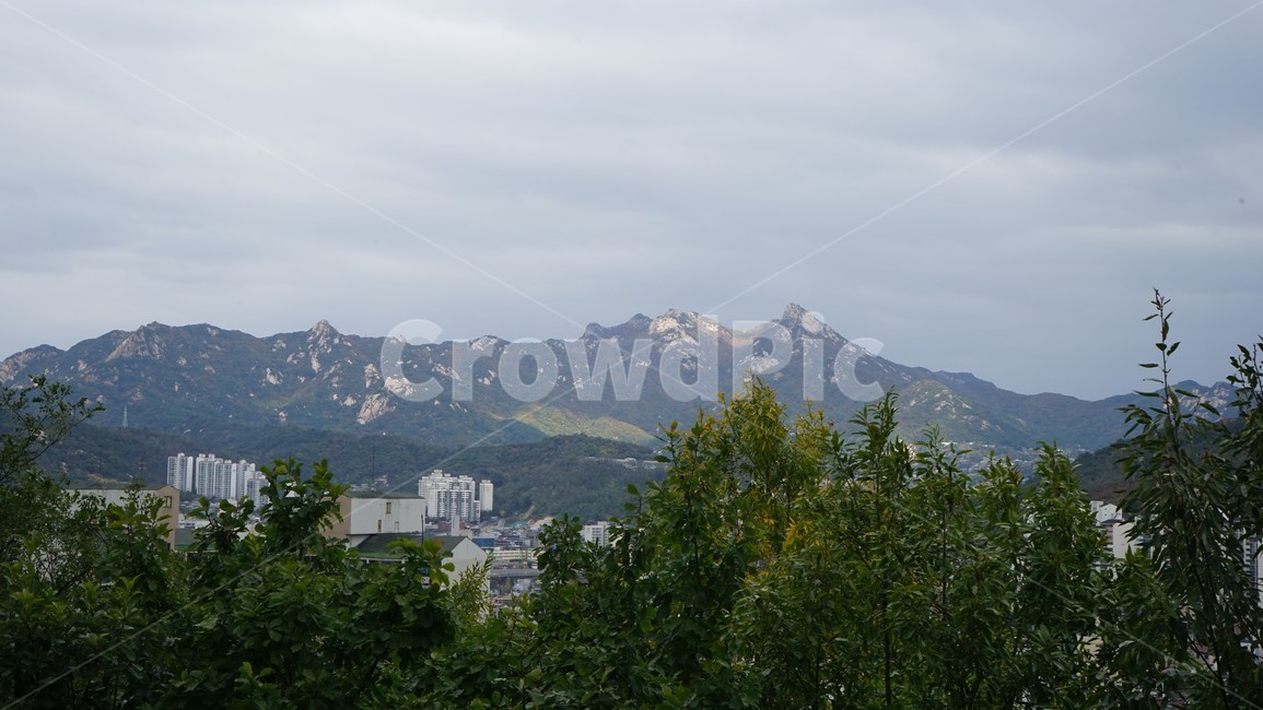 산,나무,숲,자연,녹새,하늘,파란,가을,mountain,trees,forest,도시,풍경,city,landscape,nature,outdoors,옥외,mountain range,산맥