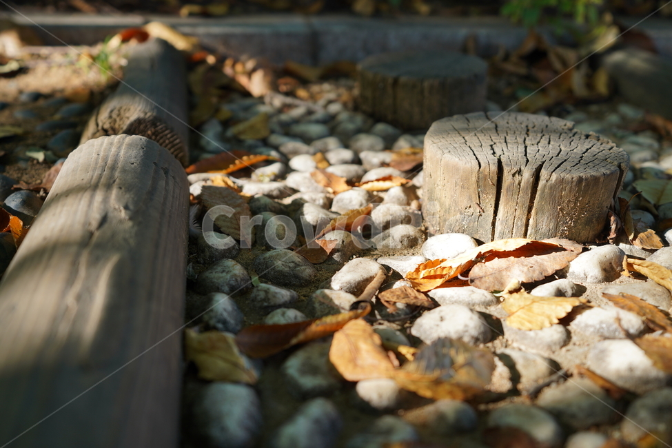 공원,자갈,낙엽,풍경,감성,자연,풍경,nature,landscape
