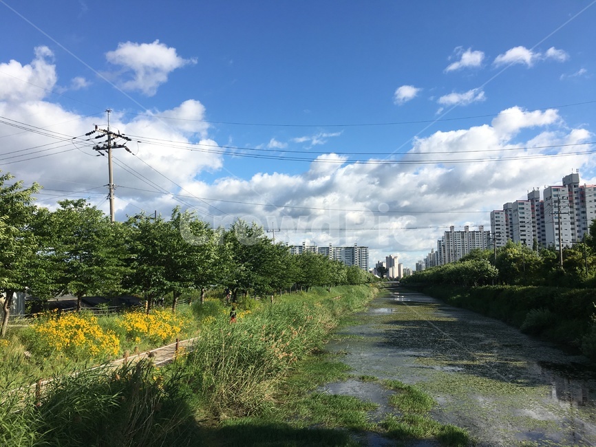 whiteclouldand​bluesky,outdoors,옥외,nature,자연,landscape,sky,도시,풍경,city,landscape