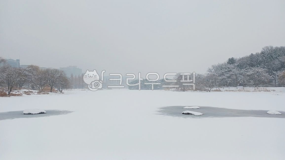 눈,설경,겨울,얼음,겨울풍경,함박눈,snow,snowscape,winter,ice,호수,일산호수공원,자연,옥외,눈보라,nature,outdoor,blizzard