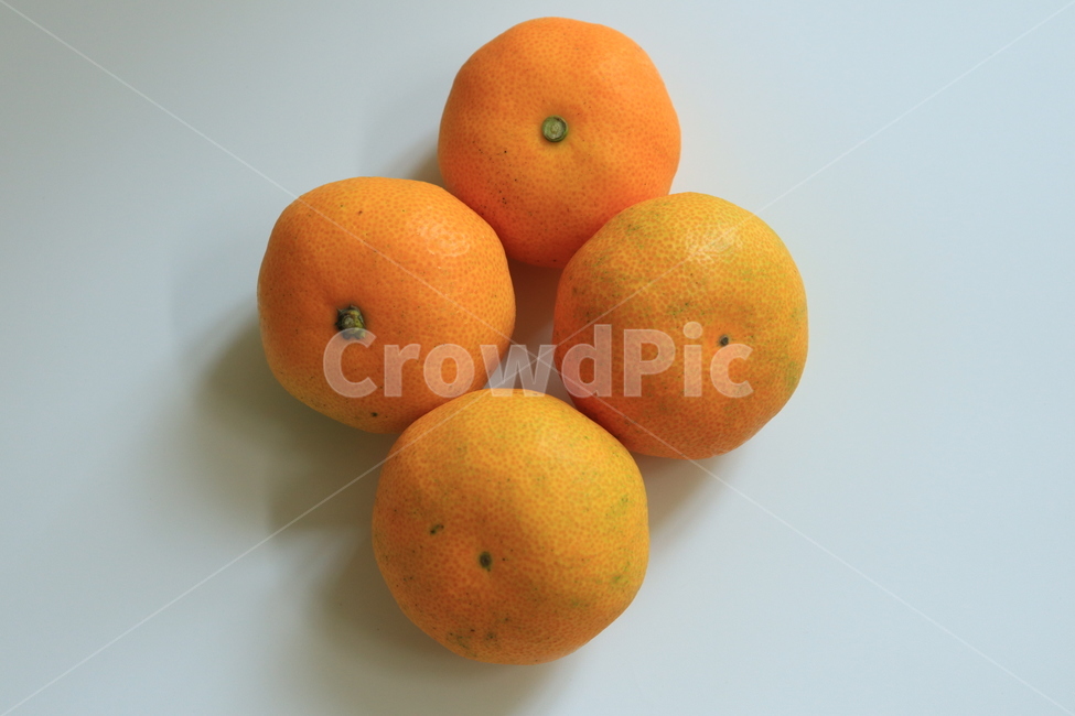 귤,겨울과일,과일,fruit,tangerine,제주도,오렌지,orange,주황색,신선함,새콤,달콤,cook,식재료,귤쥬스,한라봉,비타민c,간식,snack,wintersnack,과일,열매,fruit