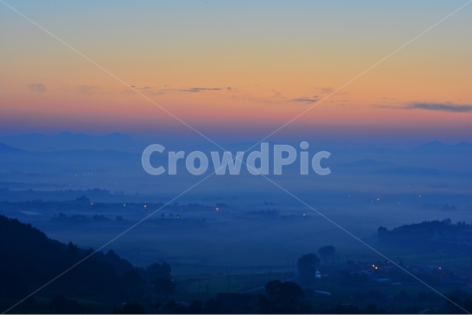 전남,함평,밀재,밀재일출,여명,아침,해돋이,sky,하늘,dawn,새벽,redsky,붉은하늘,fog,안개,plant,식물,nature,자연,outdoors,옥외,scenery,풍경,landscape,경치,mountain,산