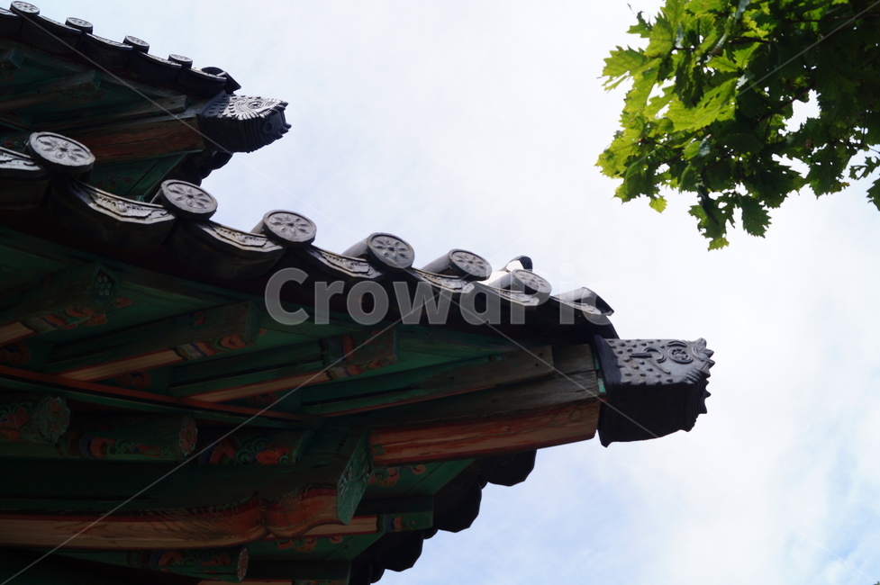 roof,지붕,고궁,한옥,풍경