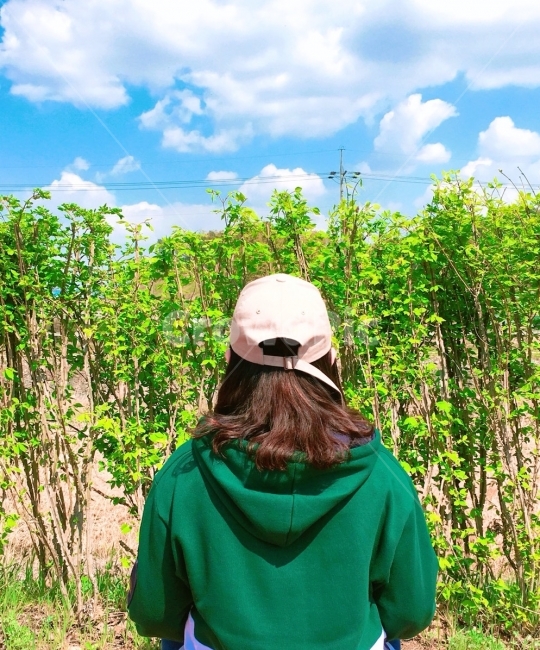 사람,뒷모습,한국,하늘,증평,구름,나뭇잎,티셔츠,모자,인물,여행,친구,사람,인물,인간,human,person,여행,휴가,traveling,vacation,trip