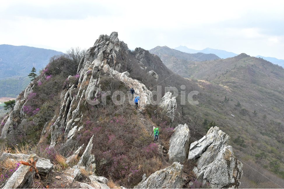 주작산,덕룡산,종주,진달래,풍경,기암,바위,비경,봄풍경,진달래꽃,강진,명산,산행,등산,마운틴,힐링,mountain,landscape,자연,natural,자연,풍경,nature,landscape,한국자연풍경,한국자연경관,korea nature landscape,adventure,모험,leisure activities,레저 활동,outdoors,옥외,slope,경사,mountain range,산맥,산