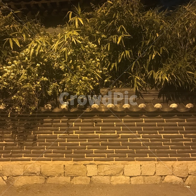 저녁,가로등,전통가옥,한옥,나무,streetlamp,streetlight,(traditional)koreanstylehouse