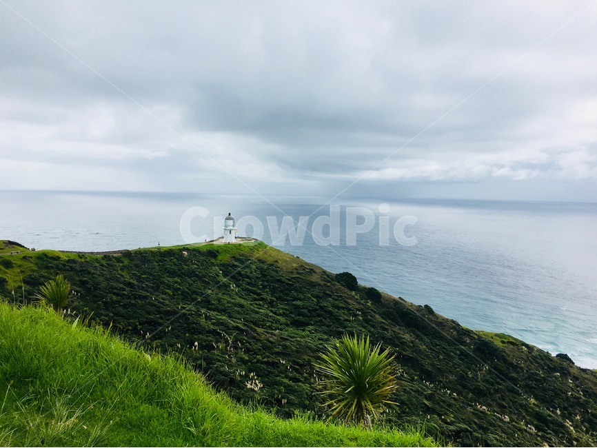 뉴질랜드,케이프랭아,capereinga,바다,태평양,타즈먼해,흐림,하늘,자연,풍경,nature,landscape,해외,외국,세계,foreign,oversea,world,세계자연풍경,해외자연풍경,외국자연풍경,world nature landscape,outdoors,옥외