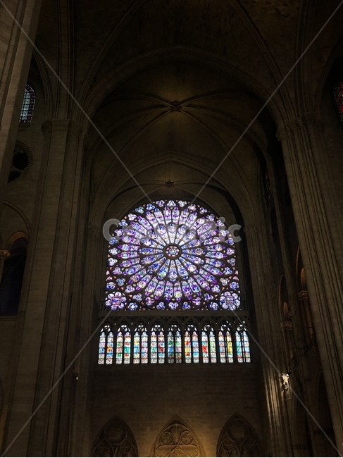 fly,Notre Dame Cathedral,Paris city,belfry,The Hunchback of Notre Dame,france,Notre Dame Bell Tower,Panoramic view of Paris,Notre Dame Spire,Notre Dame de Paris