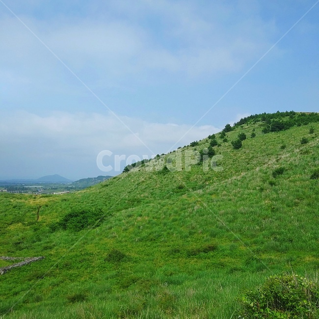 자연,언덕,hill,nature,outdoors
