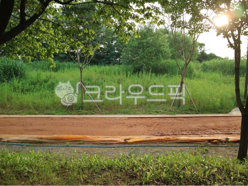 Yellow dirt road,road,yellow dirt,walking barefoot,health,dirt road