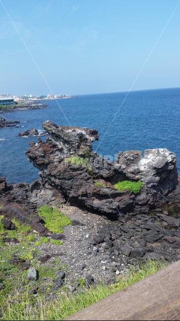 제주도,제주,섬,바다,들판,자연,풍경,nature,landscape,한국자연풍경,한국자연경관,korea nature landscape,제주도,jeju,jeju island,promontory,곶