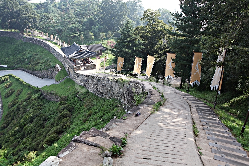 공주산성,성,산성,성곽,길,둘레길,숲,숲길,담,돌담,여름,풍경,벽,방어벽,흙담,나무,식물,유네스코등제