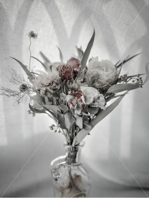 love,gift,sentiment,memory,shadow,vase,hope,dried flower,stand out,red,fresh flowers,dried bouquet,leaves,grass,plants,memories,faint,dryflowers,Flower,flowers,nature,bouquet,flower arrangement,leaf,shine,red flower,celebration,drying,background,plant,ros