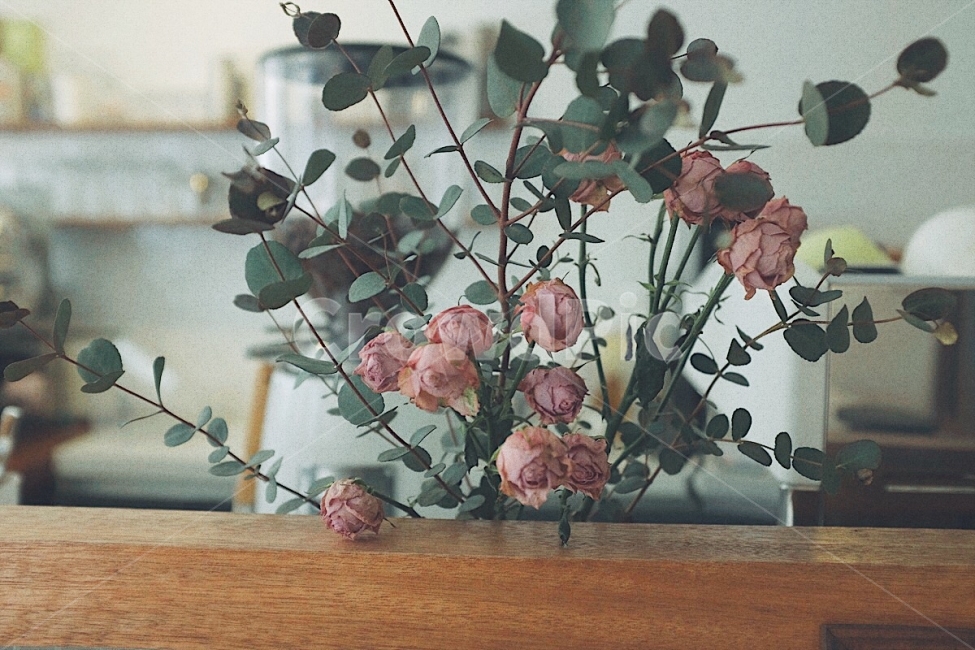 감성사진,필름,꽃,장미,소품,장식,색감,emotion,film,flower,rose,decoration,dryflower,color,드라이플라워,식물,자연,plants,nature,꽃,flower,실내용화초,화분,화초,house plant,감성,sensible,feeling,인테리어,실내디자인,interior design