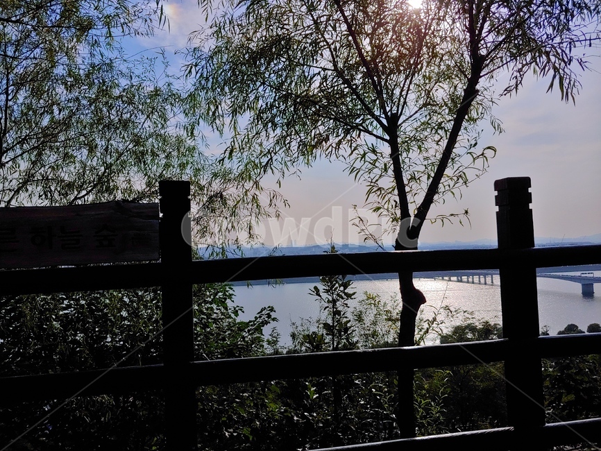 풍경,감성,역광,하늘,한강,햇살,자연,풍경,nature,landscape,flare,플레어,light,빛,banister,난간,handrail,silhouette,실루엣,sunlight,햇빛