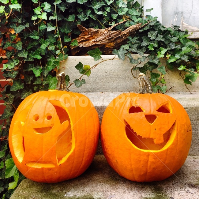 호박,할로윈,미국,jackolantern,할로윈호박,공포,호러,무서운,무서움,horror,terror,fear