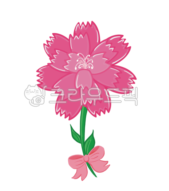 카네이션,카네이션일러스트,꽃,꽃일러스트,어린이집,유치원,리본,어버이날,스승의날,어버이날카드,스승의날카드,가정의달행사,가정의달,행사,carnation,carnationillust,flower,flowerillust,kindergarten,school,parents’day,teacher’sday,ribbon
