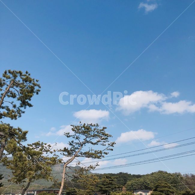 나무,봄,겨울,하늘,구름,자연,풍경,nature,landscape
