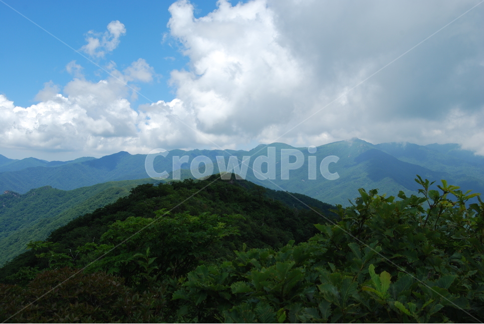 삼신봉,한국산야,여름,휴양림,탐방로,자연,풍경,nature,landscape,outdoors,옥외,hill,언덕