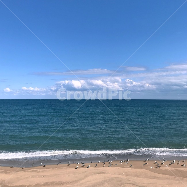 바다,구름,파도,모래,갈매기,자연,풍경,nature,landscape,해변,바다,beach,sea,ocean,대양,outdoors,옥외,water,물,shoreline,해안선,sand,coast,연안,바닷가