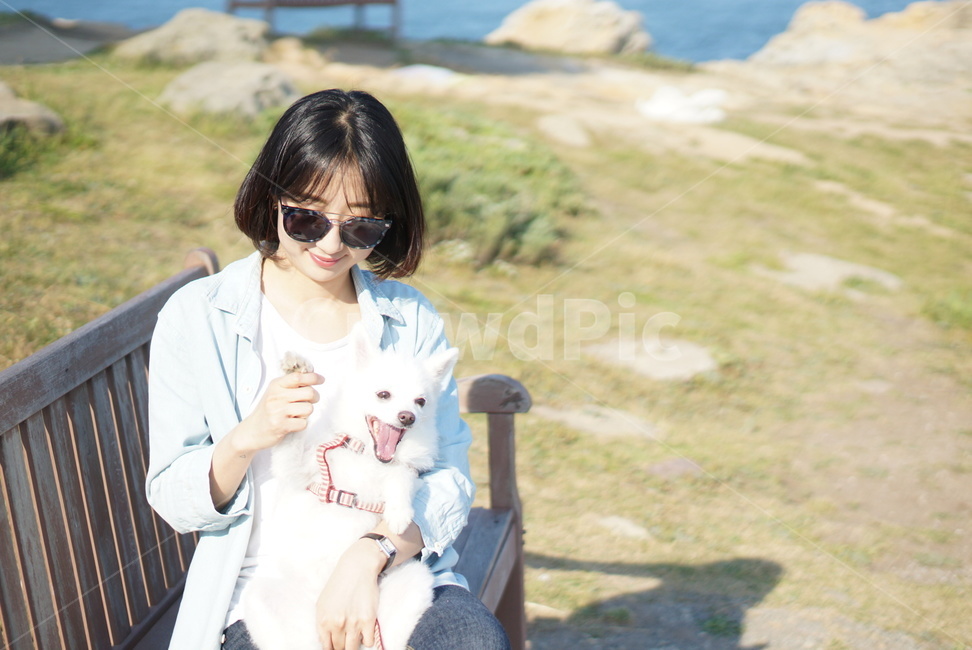 스마일,안녕,하이,헬로우,애견,산책,선글라스,사람,인물,인간,human,person
