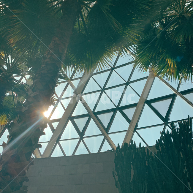 light,플레어,빛,flare,sky,indoor