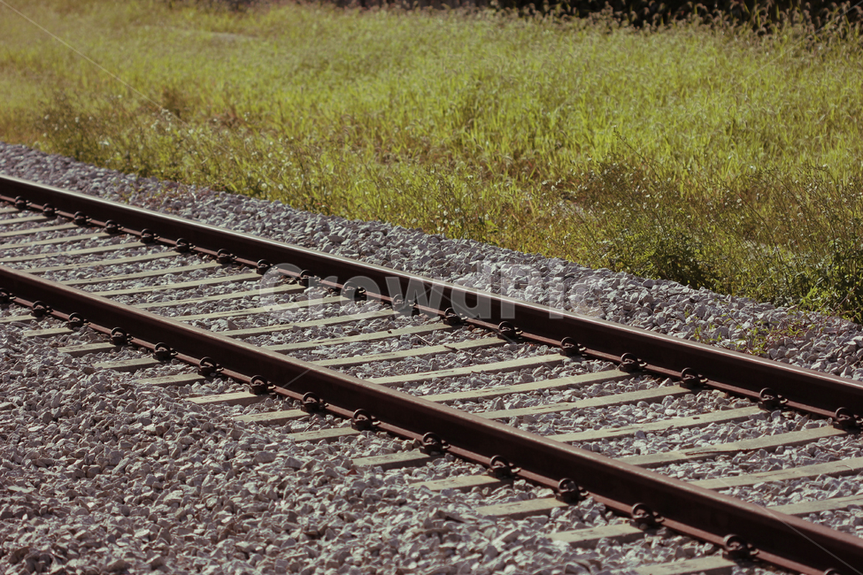 철도,철길,자연,철로,야외,풀밭,grace,train,기찻길,교통,교통수단,traffic,transportation