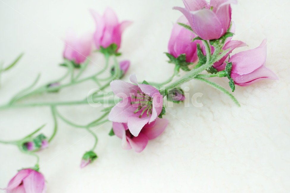 plant,식물,조화,artificialflower,캄파눌라,꽃,blossom