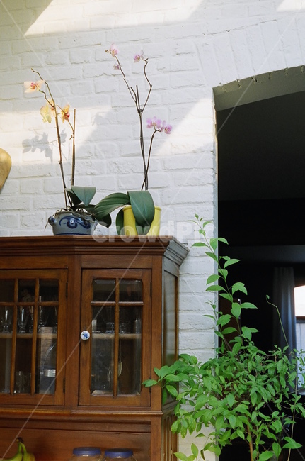 furniture,가구,항아리,vase,꽃,flower,인테리어,homedecor,벽