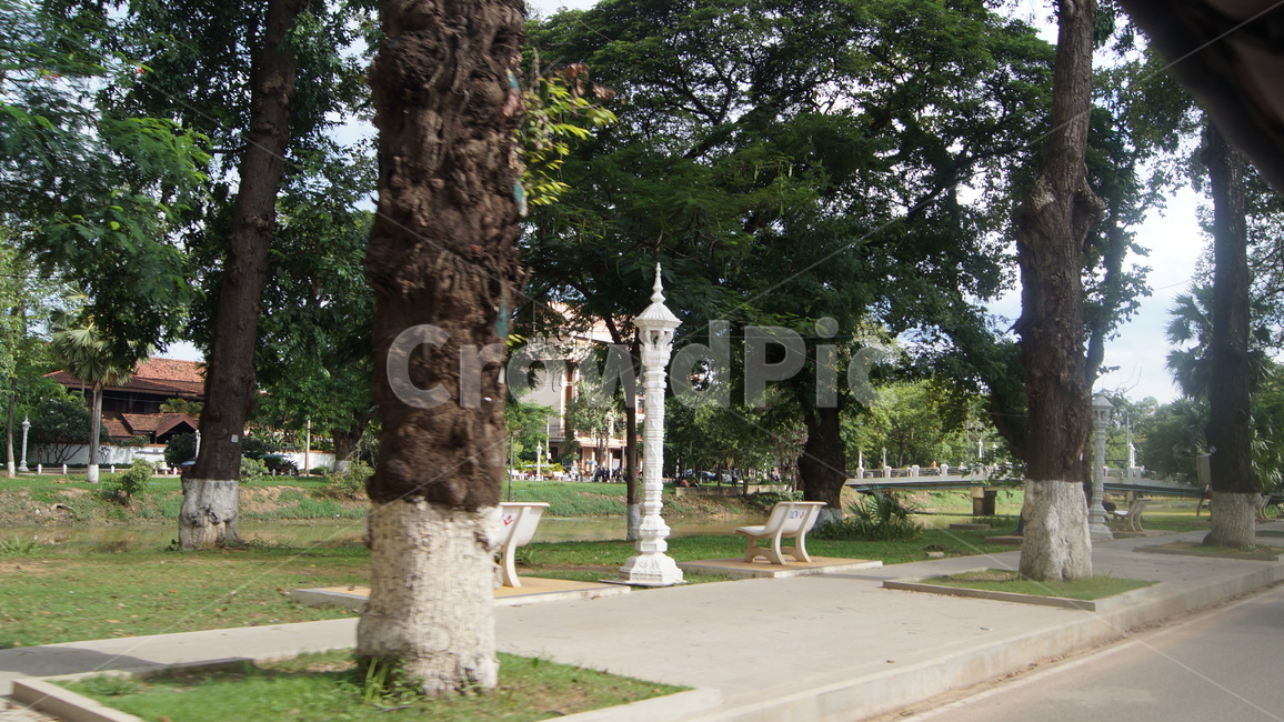 bench,벤치,outdoors,옥외,garden,정원,tree,나무,park,cambodia,road,city,landscape,view