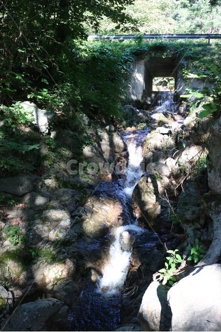 산,나무,초록,자연,식물,햇빛,여름,mountain,yama,tree,ki,green,midori,nature,plants,shokubutsu,sunlight,hizashi,summer,natsu,계곡,물,valley,keikoku,water,mizu,돌,바위,stone,rock,ishi,iwa,여름,계절,summer,season,자연,풍경,nature,landscape,outdoors,옥외,creek,작은 만,stream,흐름