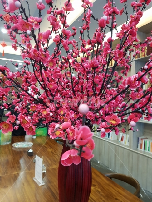 조화,분홍꽃,꽃,인테리어,데코레이션,꾸미다,화분,flower,pink,decoration,꽃,flower,실내용화초,화분,화초,house plant