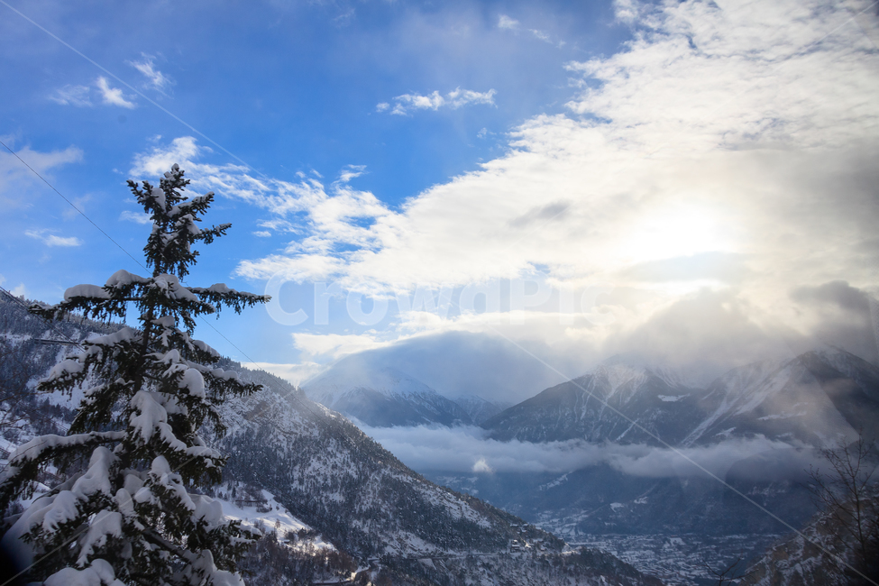 알프스산맥,스위스,겨울,눈,산,숲,구름,나무,겨울,계절,winter,season,자연,풍경,nature,landscape,해외,외국,세계,foreign,oversea,world,세계자연풍경,해외자연풍경,외국자연풍경,world nature landscape,plant,식물,tree,abies,아비,fir,전나무