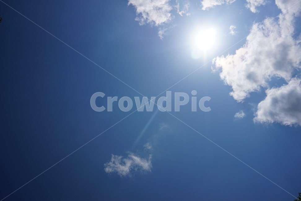 구름,하늘,뭉게구름,나무,sky,여름하늘,태양,햇빛,여름,계절,summer,season,자연,풍경,nature,landscape,sunlight,outdoors,옥외,flare,플레어,light,빛,sun