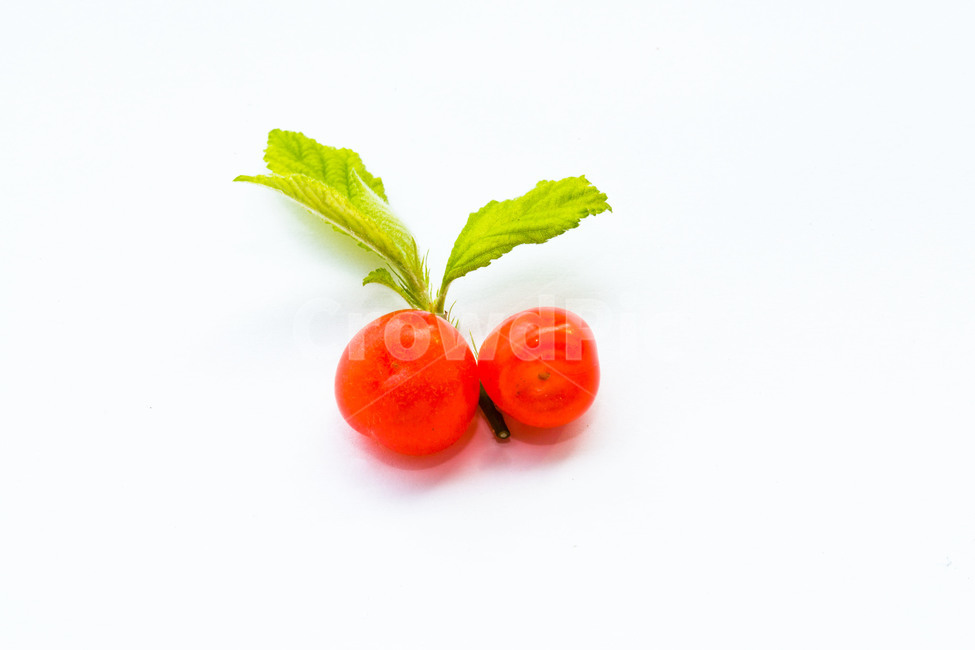 앵두,과일,신선,문양,무늬,패턴,음식,식재료,요리,food,cook,meal,dishes,food reserves,과일,열매,fruit,누끼,remove background