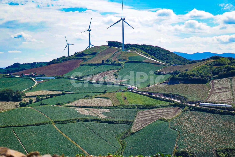 안반데기,구름,하늘,풍차,강릉,자연,풍경,nature,landscape,산업,industry,industrial,에너지산업,energy industry,경치,outdoors,옥외,scenery