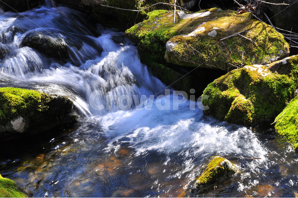 폭포,이끼계곡,계곡,힐링,물,명산,시원함,cool,valley,healing,water,summer,휴식,쉼,맑은,흐르다,flow,mountain,waterfall,landscape,nature,자연풍경,자연,풍경,계절,시즌,rest,한국자연풍경,여름,자연,풍경,nature,landscape,한국자연풍경,한국자연경관,korea nature landscape,outdoors,옥외,plant,식물