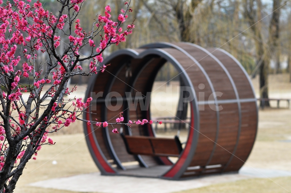 홍매화,감성사진,대전,꽃사진,붉은색,Jay,식물,자연,plants,nature,봄,계절,spring,season,꽃,flower