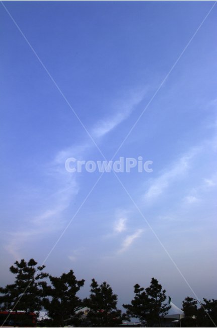 노을,하늘,컬러,구름,숲,나무,color,landscape,자연,풍경,nature,landscape,outdoors,옥외